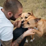 Animal Welfare